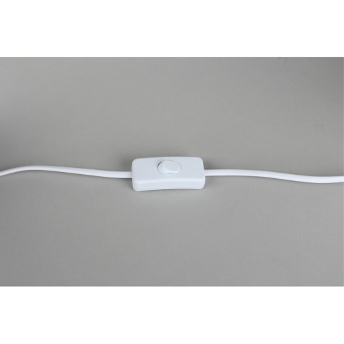 Настольная лампа OML-16404-01 фото 2