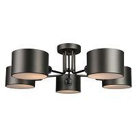 Люстра потолочная OML-54507-05