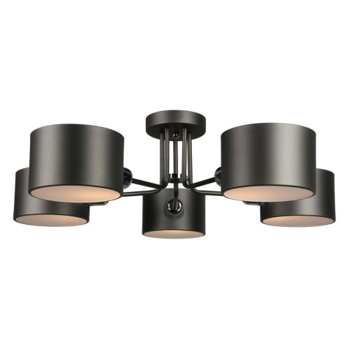 Люстра потолочная OML-54507-05