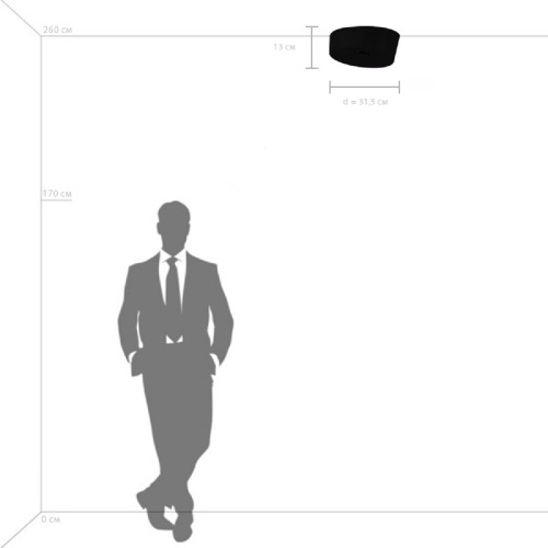 Потолочный светодиодный светильник Lightstar Celesta 809356 фото 4