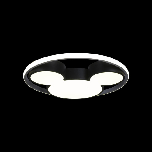 10165 Потолочный светильник LOFT IT Mike фото 3 10165 Потолочный светильник LOFT IT Mike фото 3