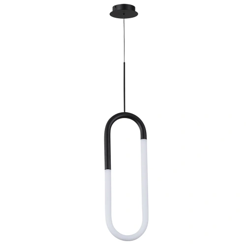 Подвесной светильник Arte lamp LUMINO A2233SP-20BK Подвесной светильник Arte lamp LUMINO A2233SP-20BK