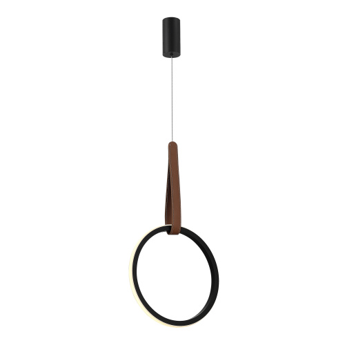 SL6131.403.12 Светильник подвесной ST-Luce Черный/Черный, Терракотовый LED 1*12W 4000K SHAPE фото 5