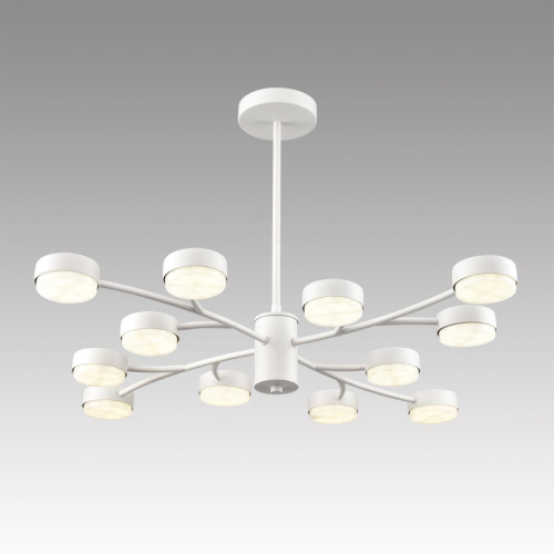 8265/12 COMFI LN26 233 металл, белый Люстра GX53 LED 12*7W 220V TORINA фото 4 8265/12 COMFI LN26 233 металл, белый Люстра GX53 LED 12*7W 220V TORINA фото 4