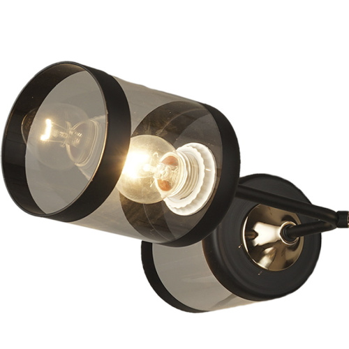 Потолочный светильник Reluce 03592-0.3-04 FGD+BK фото 3