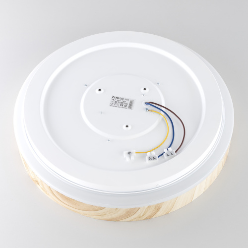 Citilux ENZO CL753352G LED RGB Светильник с пультом Клён фото 11 Citilux ENZO CL753352G LED RGB Светильник с пультом Клён фото 11