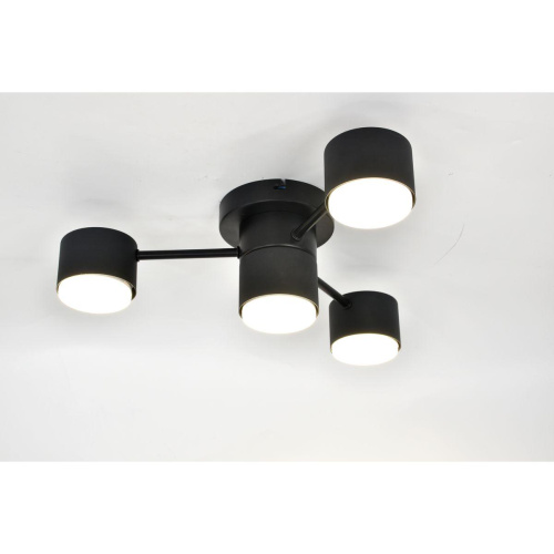 Потолочная люстра Rivoli Ruth 3190-304 Б0071293 Потолочная люстра Rivoli Ruth 3190-304 Б0071293