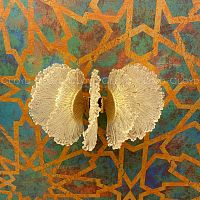 Бра Cloyd ANTIGUA W1 / выс. 17 см - золото (арт.20363)