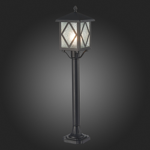 SL084.415.01 Светильник уличный наземный ST-Luce Черный/Черный, Прозрачный E27 1*60W LORNE фото 3