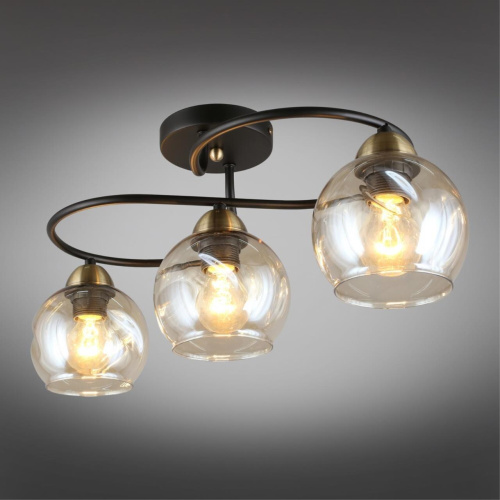 Люстра потолочная OML-95007-03 фото 3 Люстра потолочная OML-95007-03 фото 3