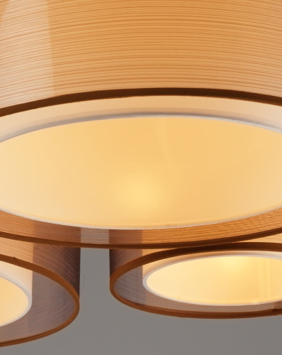 Светильник потолочный Moderli V10624-5C Room фото 5