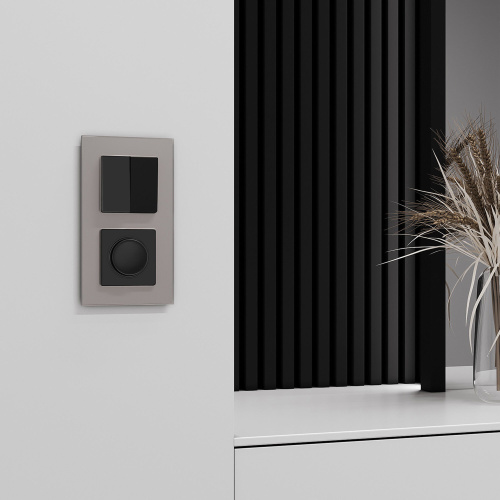 Рамка из стекла на 2 поста Senso дымчатый soft-touch W0023117 фото 3