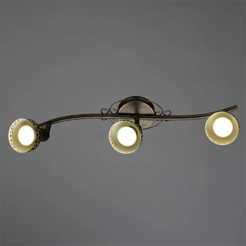 Спот Arte Lamp FOCUS A5219PL-3BR фото 2 Спот Arte Lamp FOCUS A5219PL-3BR фото 2