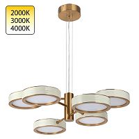 5450/99L L-VISION ODL_EX26 019 молочный/античная бронза/металл/керамика/акрил Люстра LED 99W 2000К/3000K/4000K RIVIERA