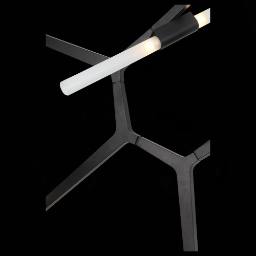 SL947.402.14 Люстра потолочная ST-Luce Черный/Белый G9 14*5W LACONICITA фото 4 SL947.402.14 Люстра потолочная ST-Luce Черный/Белый G9 14*5W LACONICITA фото 4