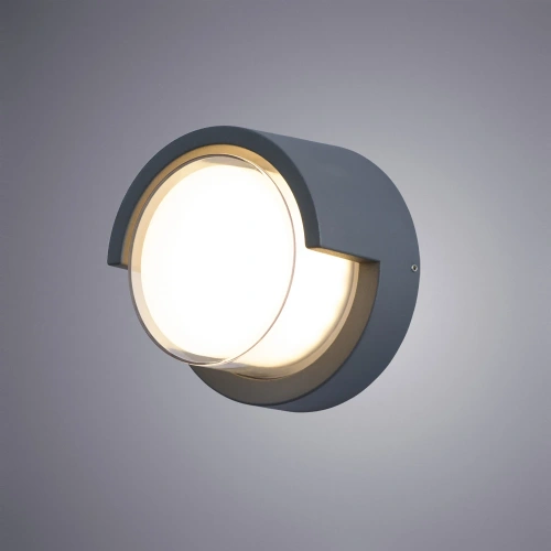 Уличный настенный светильник Arte Lamp LANCIA A8159AL-1GY фото 2