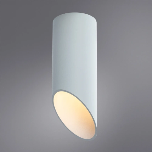 Точечный накладной светильник Arte Lamp PILON A1615PL-1WH фото 2 Точечный накладной светильник Arte Lamp PILON A1615PL-1WH фото 2