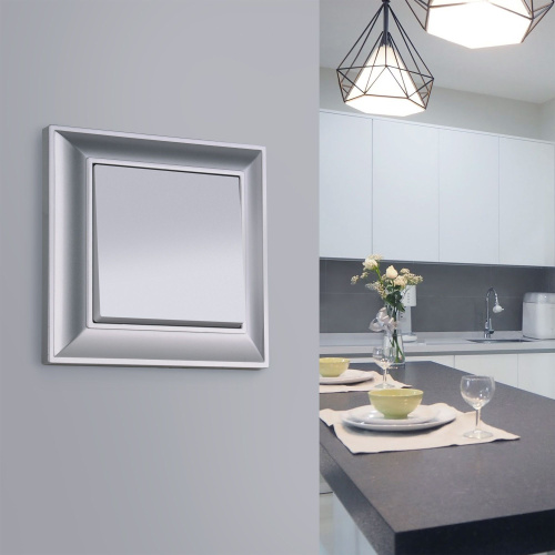 Рамка из поликарбоната на 1 пост Fiore серебряный W0012206 фото 2 Рамка из поликарбоната на 1 пост Fiore серебряный W0012206 фото 2