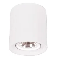 Точечный накладной светильник Arte Lamp TUBO A9262PL-1WH