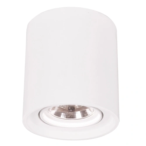 Точечный накладной светильник Arte Lamp TUBO A9262PL-1WH Точечный накладной светильник Arte Lamp TUBO A9262PL-1WH
