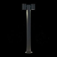 SL9003.405.02 Светильник уличный наземный ST-Luce Черный GU10 2*35W VISIONI