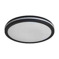 Потолочный светильник Freya Руа / Rua FR6160CL-L40B