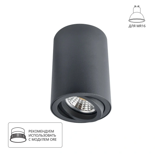Точечный накладной светильник Arte Lamp SENTRY A1560PL-1BK