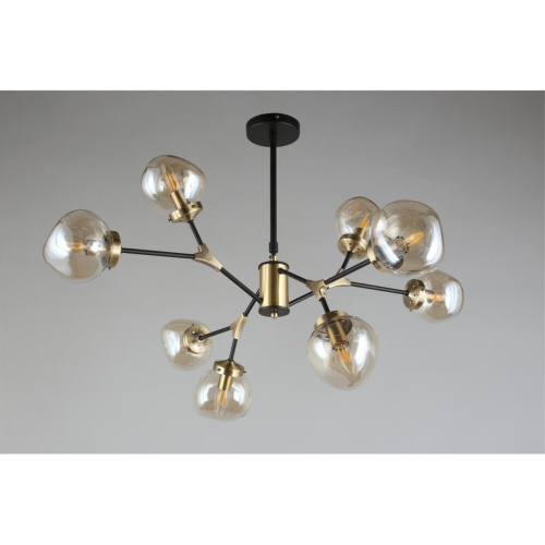 Люстра потолочная OML-95107-08 фото 8 Люстра потолочная OML-95107-08 фото 8