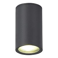 SL9010.712.01 Светильник уличный потолочный ST-Luce серый GU10 1*50W TUBO