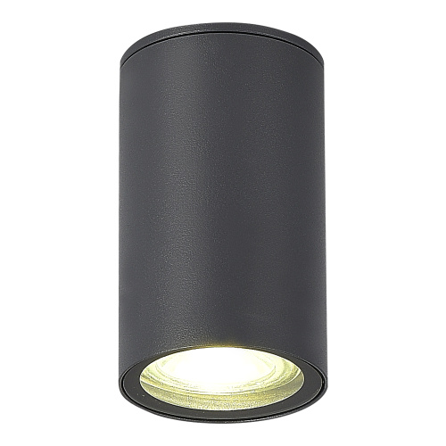 SL9010.712.01 Светильник уличный потолочный ST-Luce серый GU10 1*50W TUBO