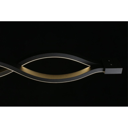 Светильник настенно-потолочный APL.002.12.36 фото 12