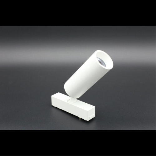 Светильник трековый APL.0113.10.09 фото 2