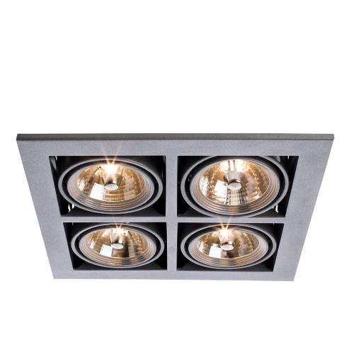 Карданный светильник Arte Lamp CARDANI MEDIO A5930PL-4SI фото 3