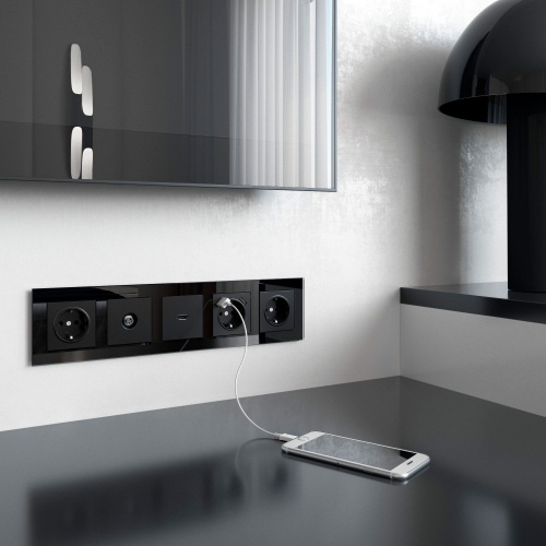 ТВ-розетка проходная (черный матовый) W1184008 фото 4 ТВ-розетка проходная (черный матовый) W1184008 фото 4