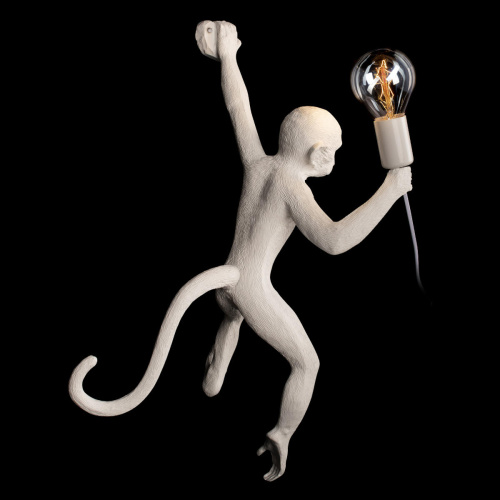 10314W/A Настенный светильник LOFT IT Monkey фото 5