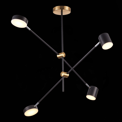 SL1604.432.04 Светильник потолочный ST-Luce Черный, Латунь/Черный LED 4*5W 3000K RODRIGO фото 7