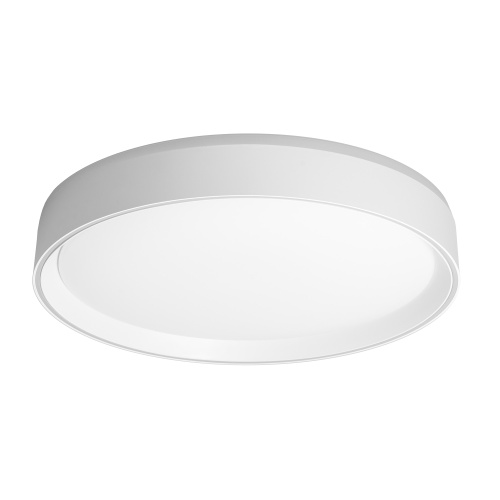 Citilux BOSS CL751350G LED RGB Светильник с пультом Белый фото 2