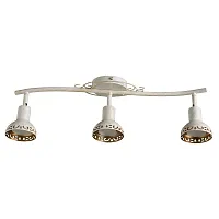 Спот Arte Lamp FOCUS A5219PL-3WG