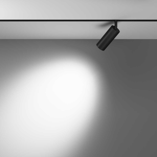 Трековый светильник Voltega Эксилайт / Exilight VGL032-2-12W4K-M-B фото 3 Трековый светильник Voltega Эксилайт / Exilight VGL032-2-12W4K-M-B фото 3
