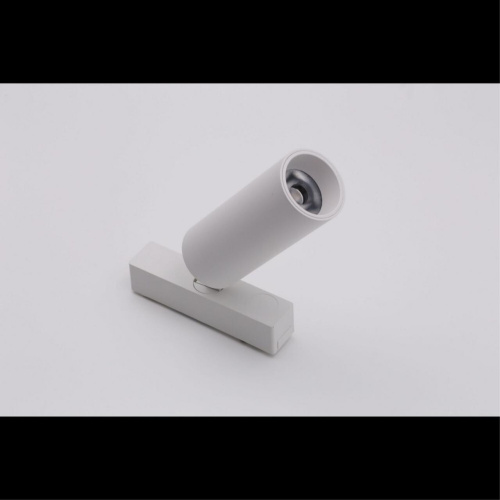 Светильник трековый APL.0113.10.09