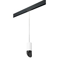 Комплект с трековым светильником Lightstar Rullo (214436+595857+201437) PRORP43637