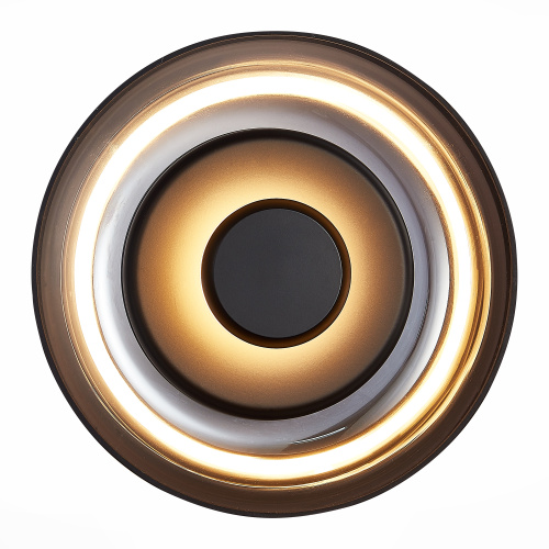 SL6002.401.01 Светильник настенный ST-Luce Черный/Дымчатый LED 1*7W 4000K LAZIO фото 2