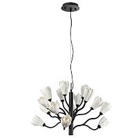 5090/15 MODERN ODL25 553 черный матовый/белый/фарфор Люстра G4 LED 15*5W GARDI