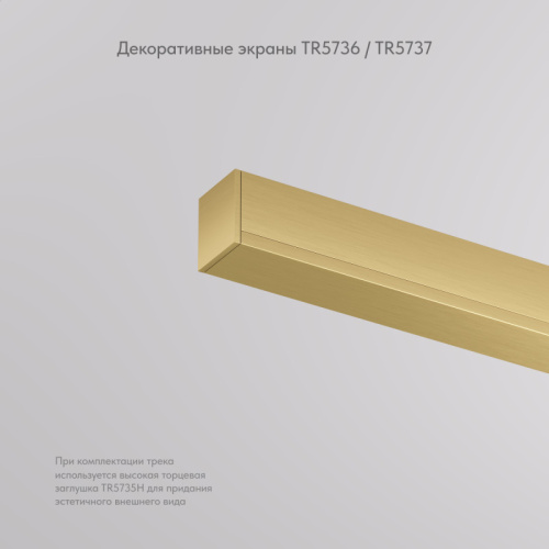 Трековый светильник Denkirs SHINE BASE | ШАЙН БЕЙС TR5736-SB фото 2 Трековый светильник Denkirs SHINE BASE | ШАЙН БЕЙС TR5736-SB фото 2