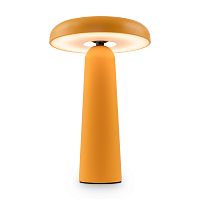 Аккумуляторный светильник Freya FR6109TL-L4OR