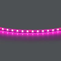 420512 Лента LIGHTSTAR LED 24V 12W 120leds/M 1600 LM/M розовый IP20 1шт = 5м