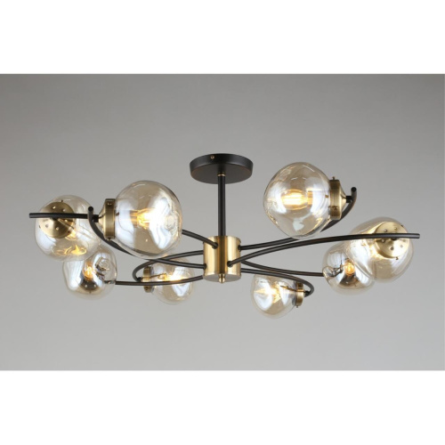 Люстра потолочная OML-95307-08 фото 4 Люстра потолочная OML-95307-08 фото 4