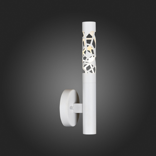 SL1577.501.01 Светильник настенный ST-Luce Белый/Белый LED 1*5W 3000K FIZORIO фото 9