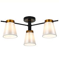 Светильник на штанге 120005/3R E14*40W Black/Gold