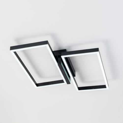 Потолочный светильник Escada 10209/2 LED*60W Black фото 4 Потолочный светильник Escada 10209/2 LED*60W Black фото 4